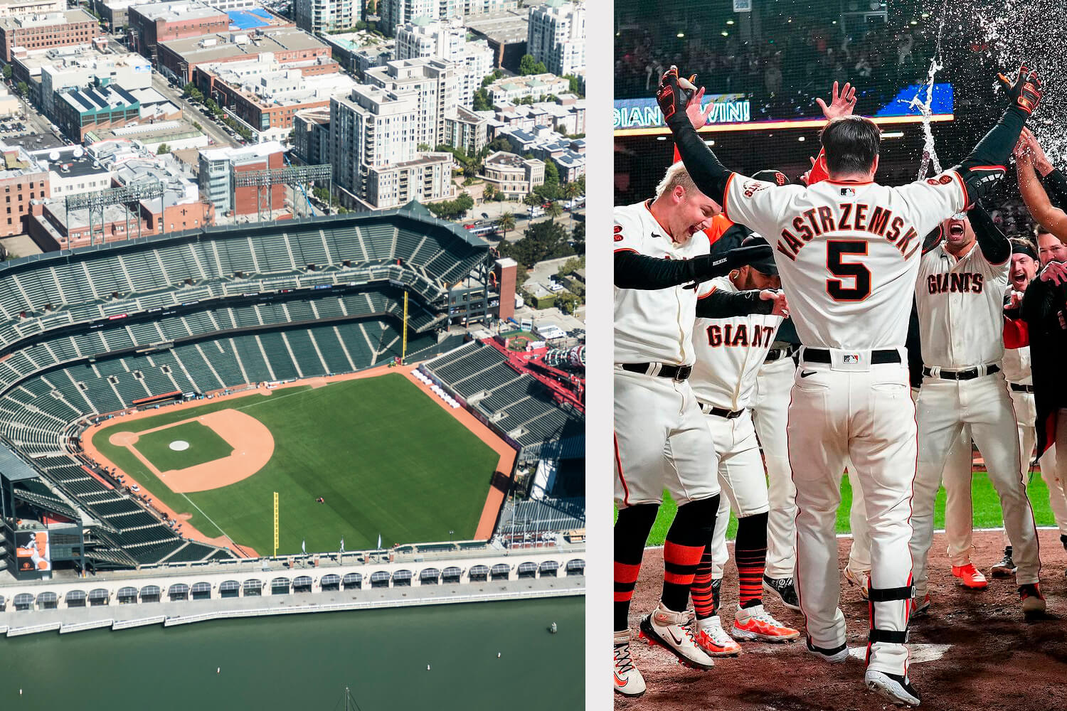 A Giants Fan Fest featuring a collage of the baseball team.